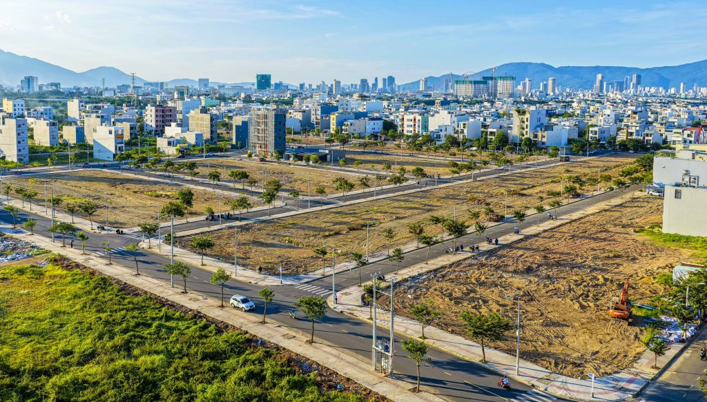 dat nen hoa xuan 20252 17550468483071015977377
